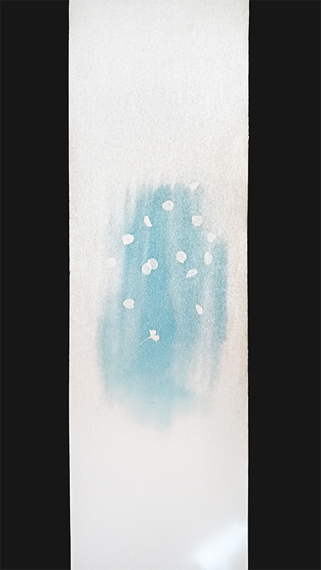 Thumbnail Image. Photos Displayed in a Tokonoma Alcove.